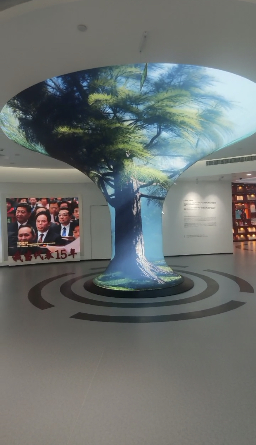 某机关单位柔性LED喇叭屏(p2)